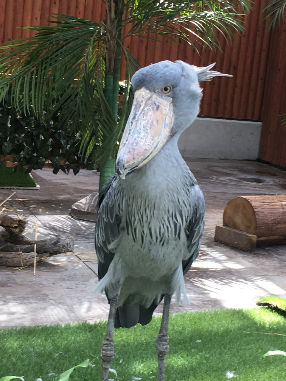 テストの画像(1)｜オオキグループ