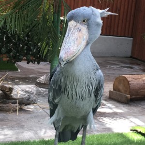 テストの画像(1)｜オオキグループ